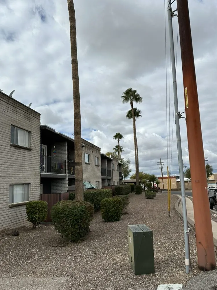 Affordable garden landscaping experts serving Tucson, AZ - Desert Trim landscaping Handyman