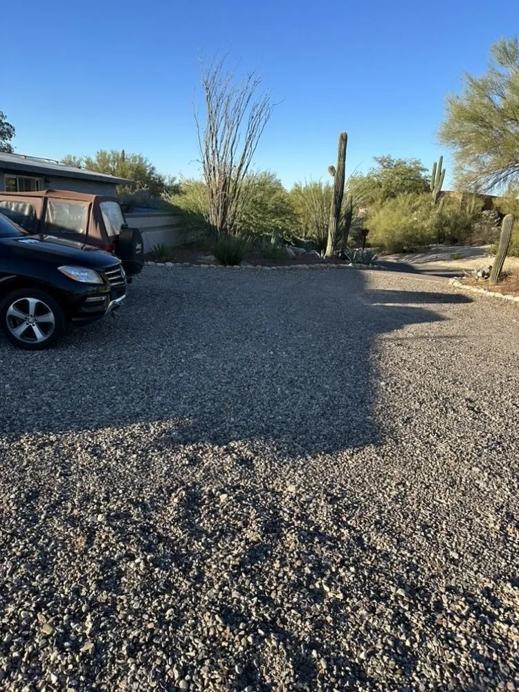 Affordable landscaping services experts serving Tucson, AZ - Desert Trim landscaping Handyman