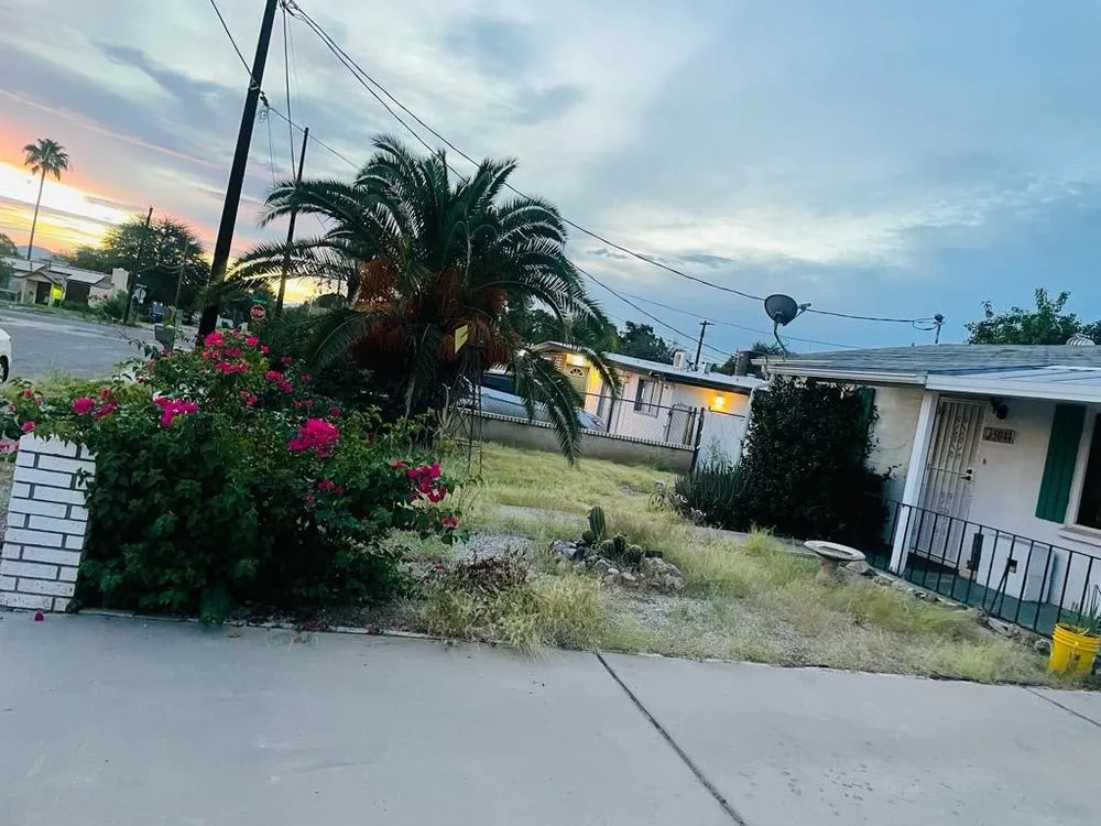 Local landscaping services experts serving Tucson, AZ - Desert Trim landscaping Handyman