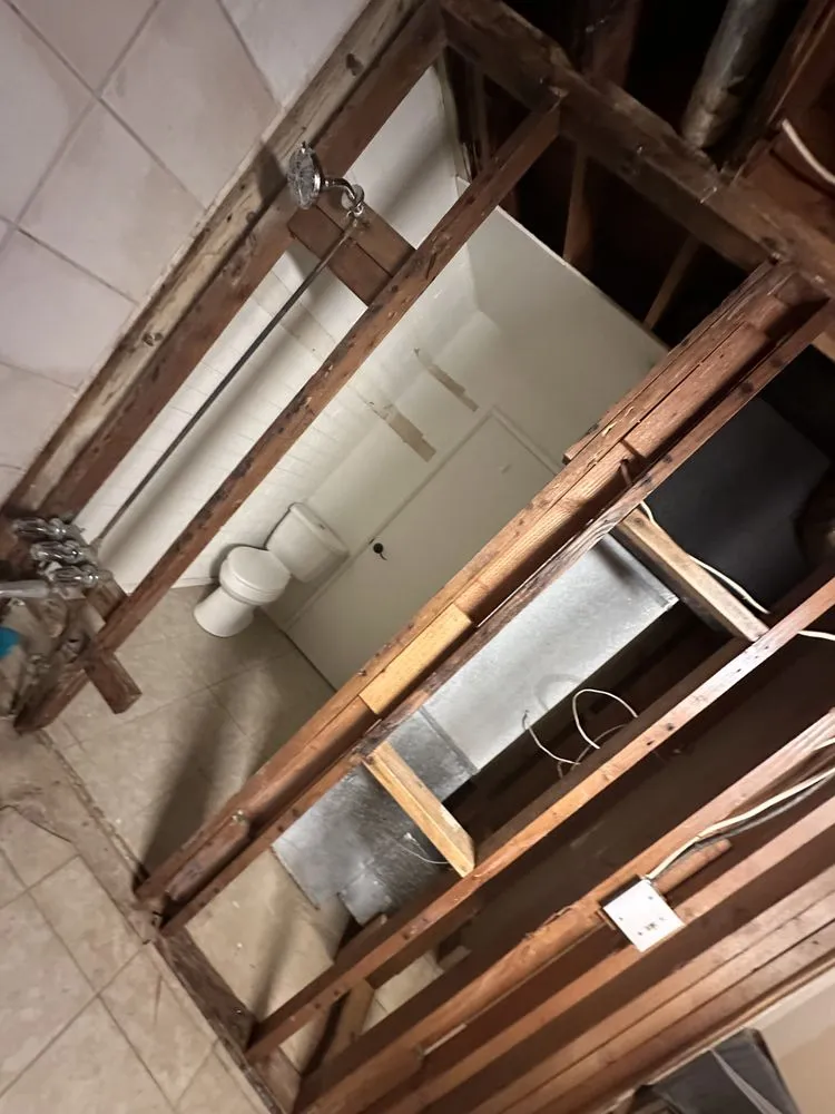 Local yard cleanup service for residential properties across Tucson, AZ - Desert Trim landscaping Handyman