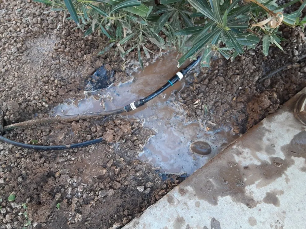 Trusted landscape installation experts serving Goodyear, AZ - Desert Valley Irrigation