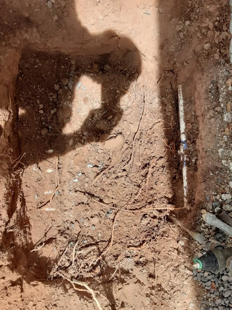 Local landscaping services for outdoor upgrades in Goodyear, AZ by Desert Valley Irrigation