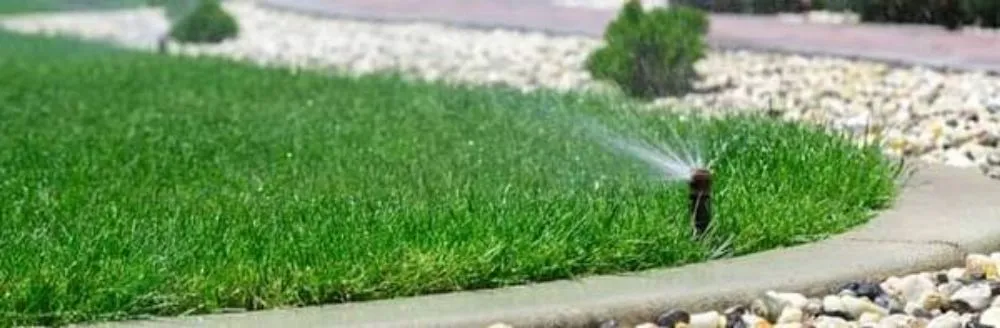 Trusted landscape installation in Goodyear, AZ - Desert Valley Irrigation