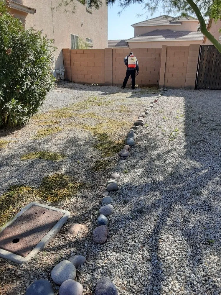 Affordable garden landscaping in Goodyear, AZ - Desert Valley Irrigation