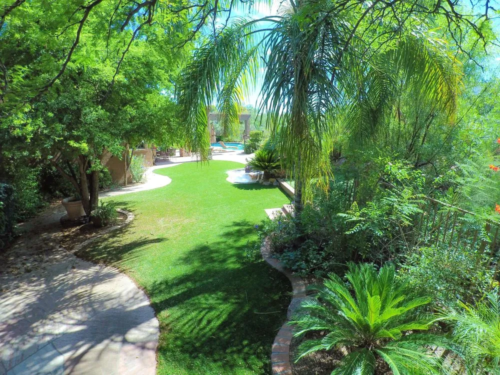 Top-rated landscape design in Tucson, AZ - Desert Valley Landscaping