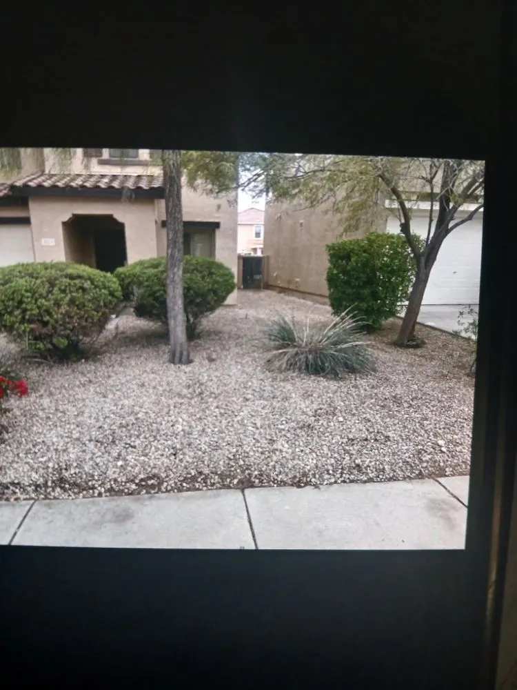 Trusted garden landscaping in Florence, AZ by Desert Valley Sands
