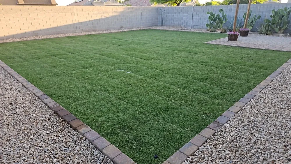 Top-rated lawn mowing service experts serving Queen Creek, AZ - Desert View Landscaping