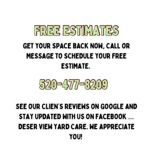 Professional yard maintenance in Willcox, AZ - Desert View Yard Care