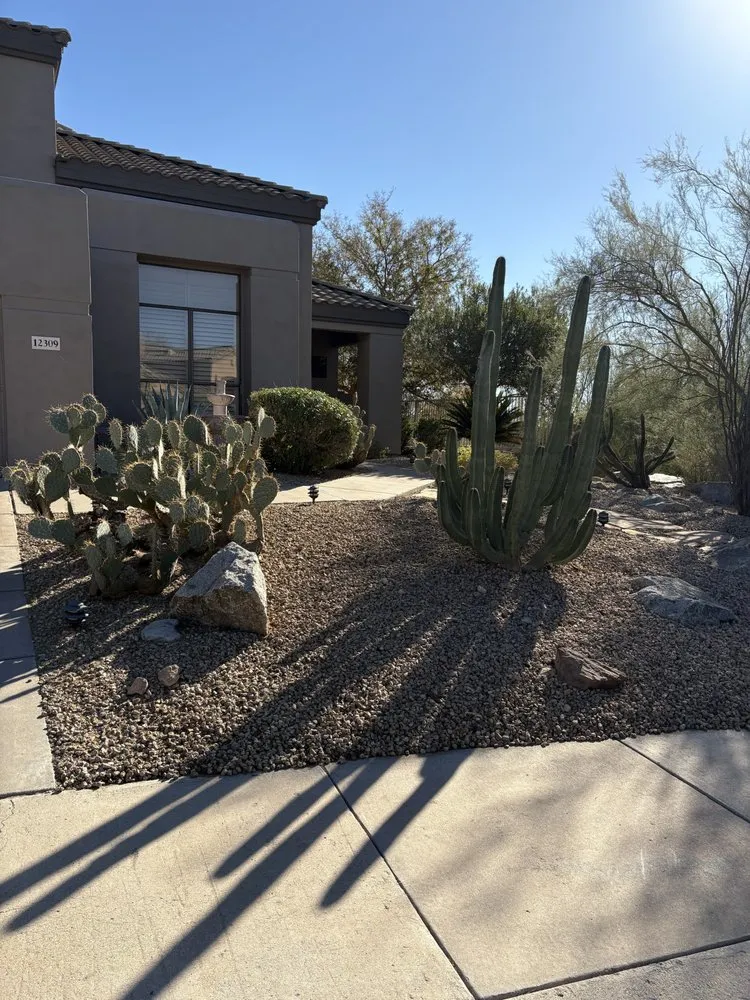 Custom outdoor landscaping in Phoenix, AZ - Desert Winds Landscape