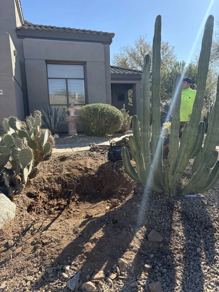 Local residential landscaping experts serving Phoenix, AZ - Desert Winds Landscape
