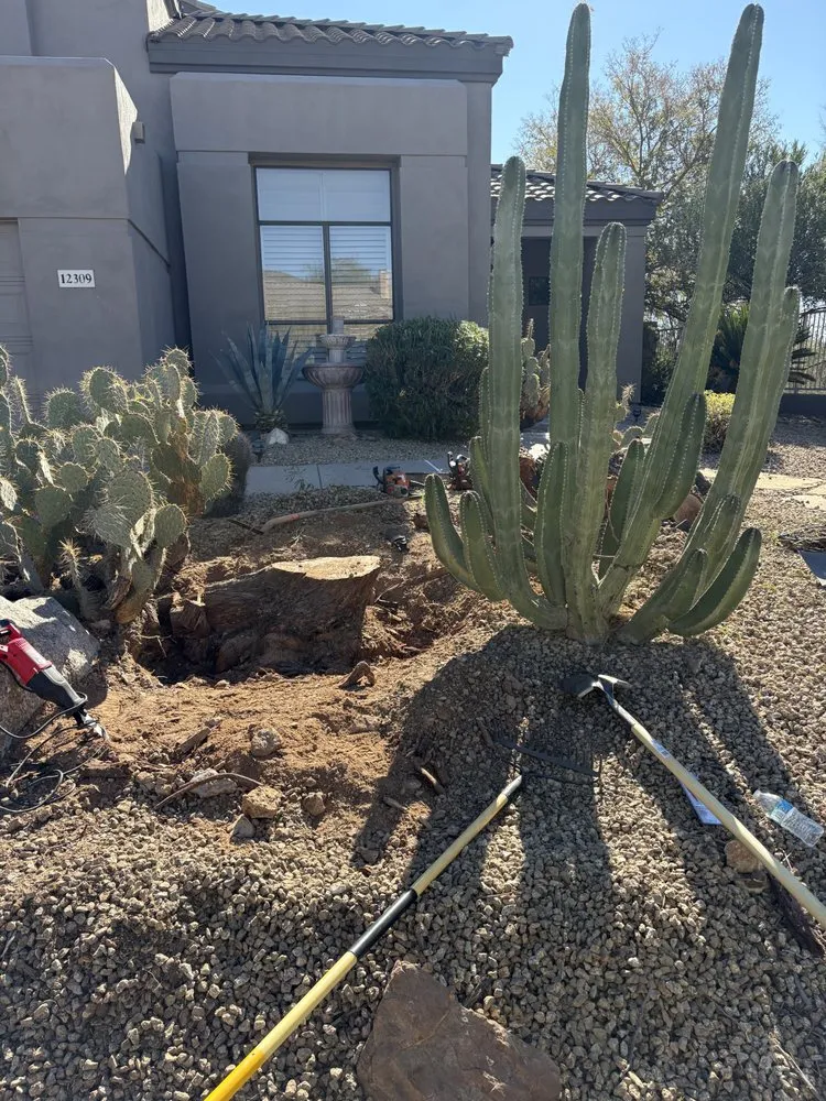 Custom lawn care service in Phoenix, AZ - Desert Winds Landscape