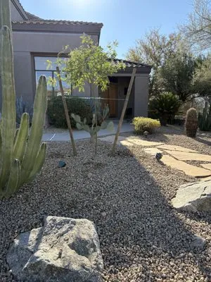 Desert Winds Landscape Logo