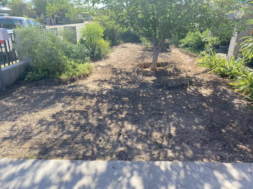 Professional outdoor landscaping experts serving Tucson, AZ - Desert Wood Landscaping