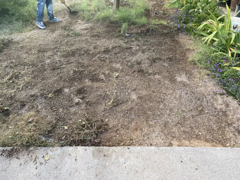 Affordable landscape installation for residential properties across Tucson, AZ - Desert Wood Landscaping