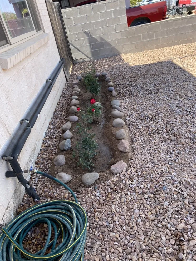 Affordable yard cleanup service in Tucson, AZ - Desert Wood Landscaping