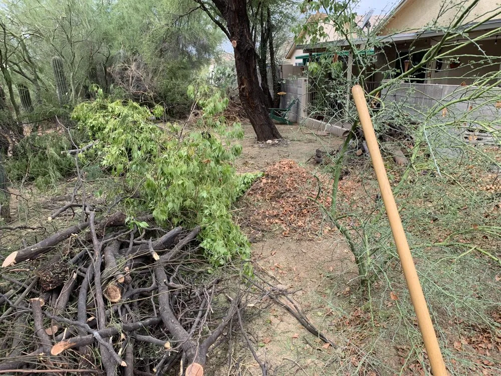 Expert landscape installation near you in Tucson, AZ by Desert Wood Landscaping