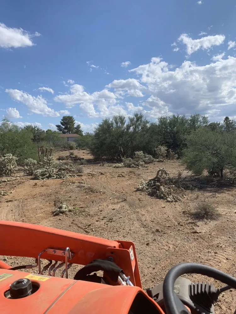 Affordable yard cleanup service experts serving Tucson, AZ - Desert Wood Landscaping
