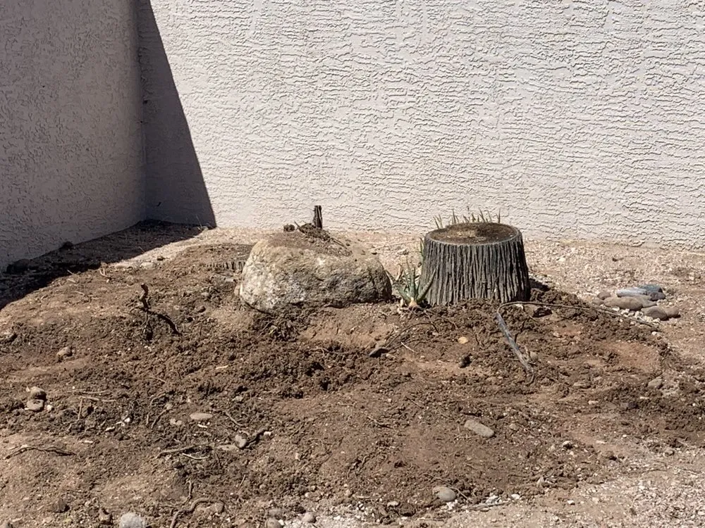 Custom outdoor landscaping for year-round maintenance across Tucson, AZ - Desert Wood Landscaping