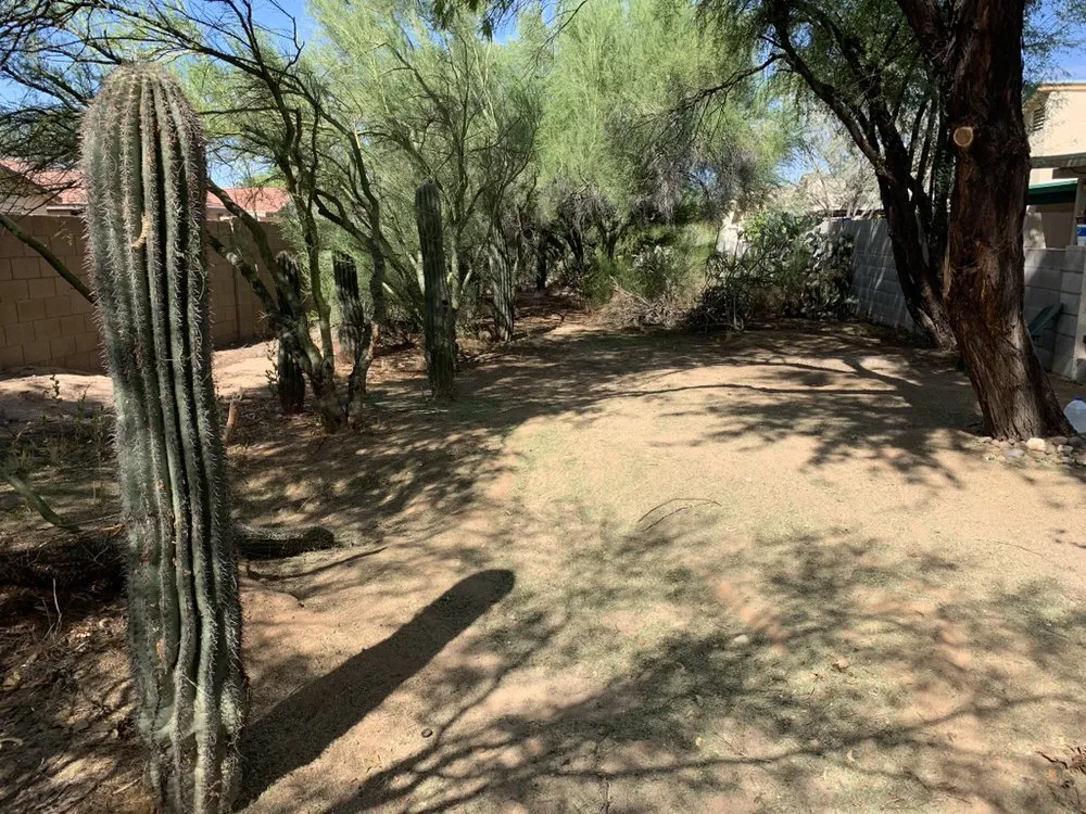 Local landscaping services for homes across Tucson, AZ - Desert Wood Landscaping