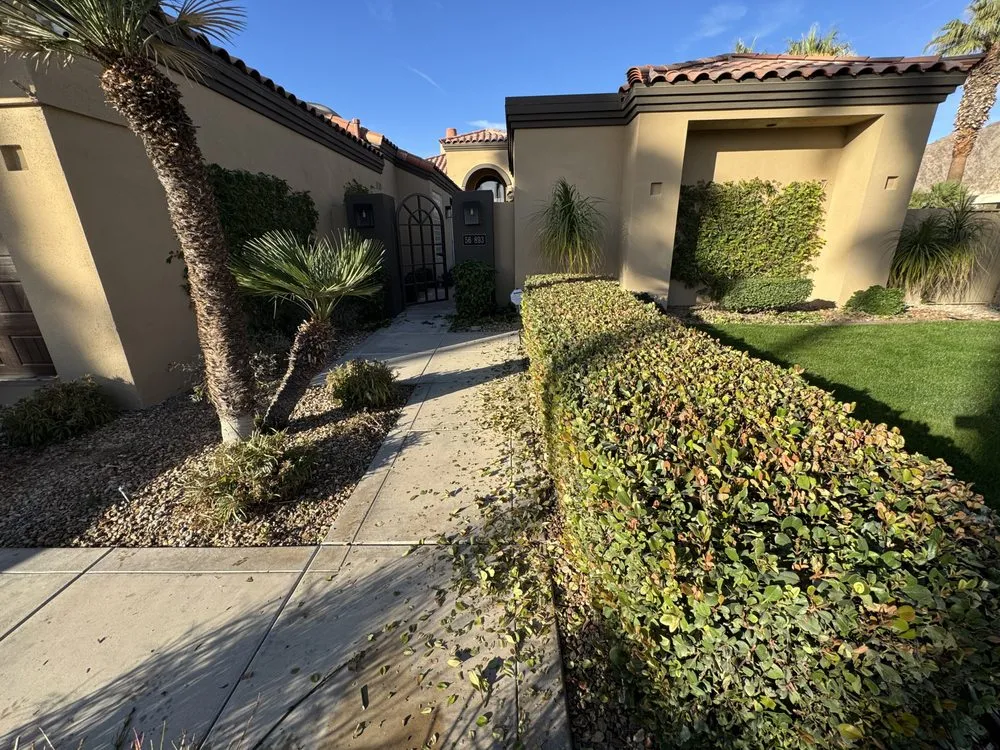 Professional yard cleanup service in Coachella, CA - DesertGrace Landscape