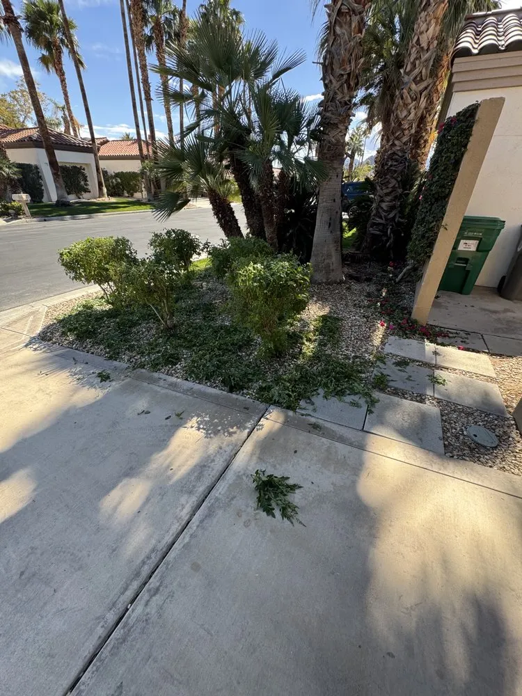 Professional lawn care service for year-round maintenance across Coachella, CA - DesertGrace Landscape