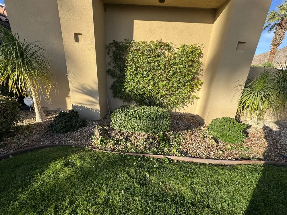 Reliable outdoor landscaping for residential properties across Coachella, CA - DesertGrace Landscape