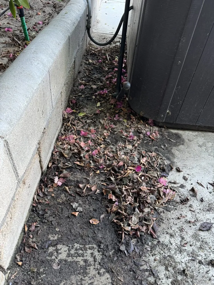 Top-rated garden landscaping in Coachella, CA - DesertGrace Landscape