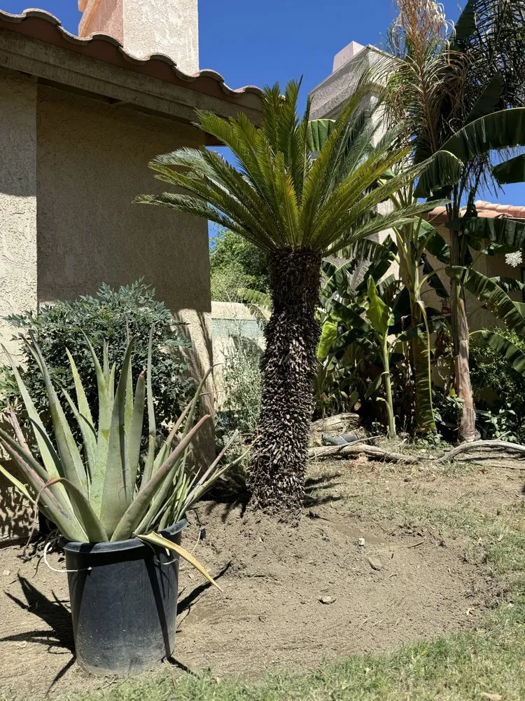 Custom garden landscaping for outdoor upgrades in Coachella, CA by DesertGrace Landscape
