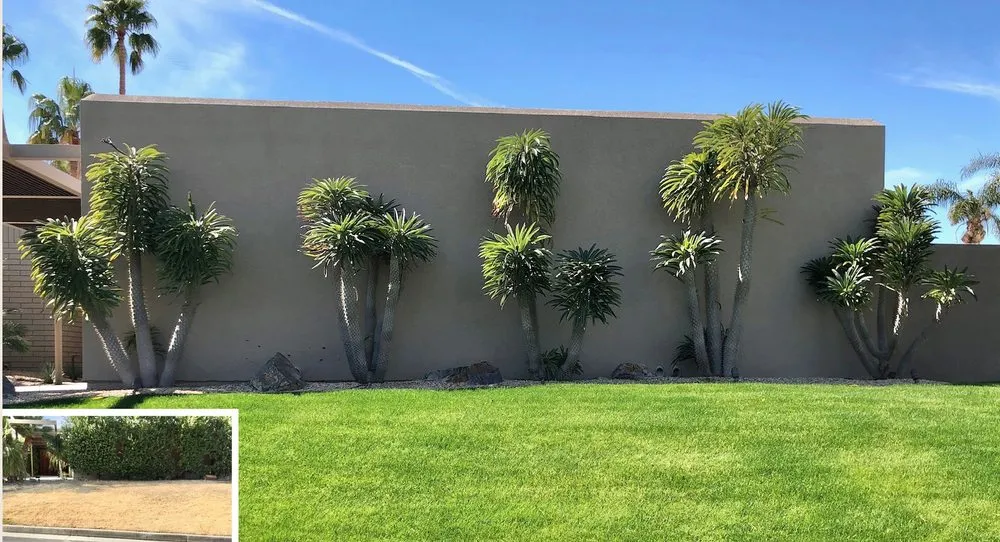 Affordable landscape installation for year-round maintenance across Palm Desert, CA - DesertScape Design