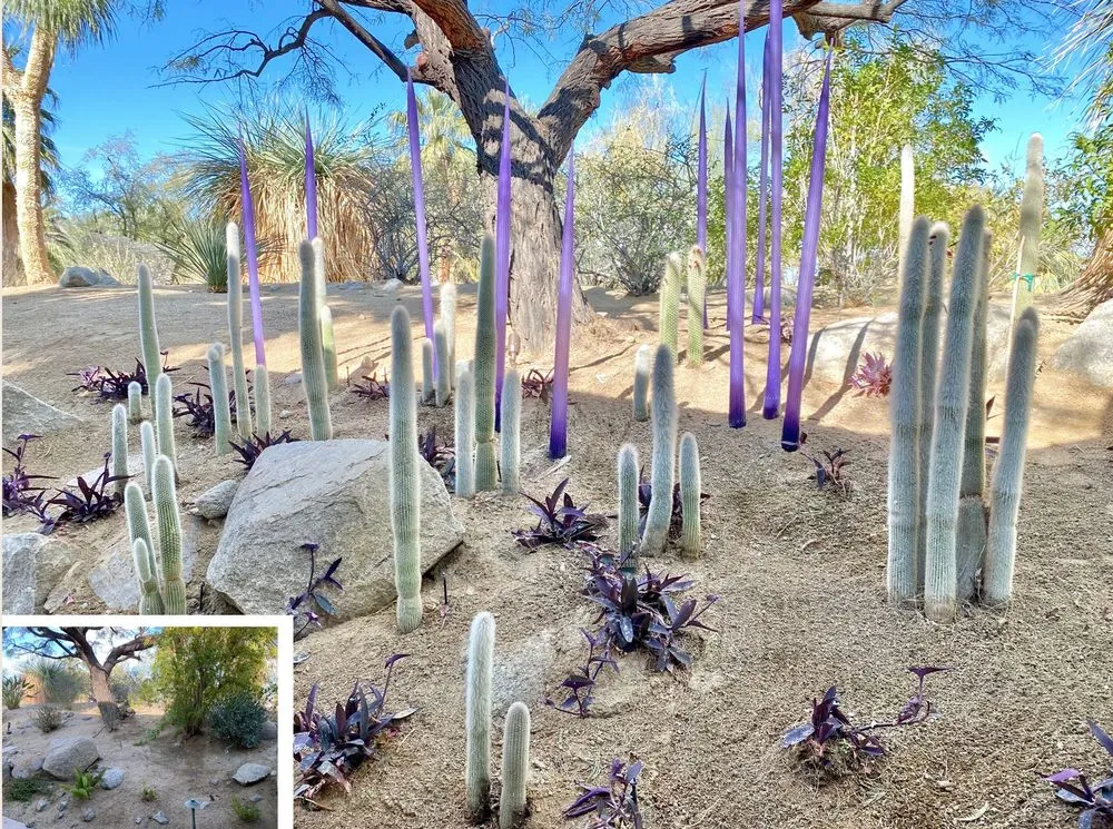 Local outdoor landscaping in Palm Desert, CA - DesertScape Design