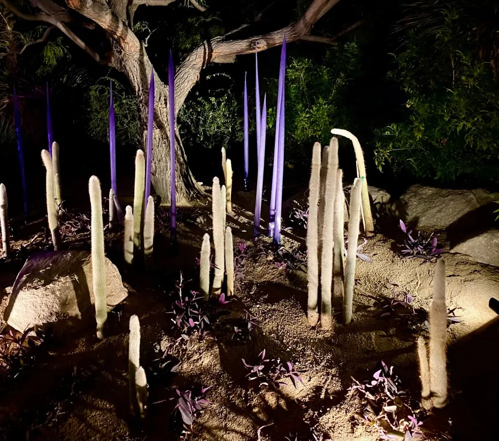 Reliable residential landscaping for outdoor upgrades across Palm Desert, CA - DesertScape Design