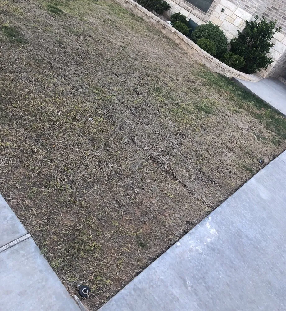 Trusted yard maintenance experts serving Midland, TX - Deshaws Landscaping