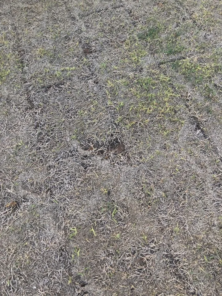 Trusted landscape design in Midland, TX - Deshaws Landscaping