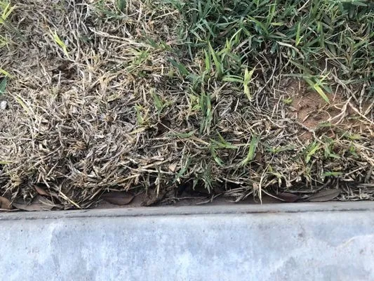 Deshaws Landscaping Logo