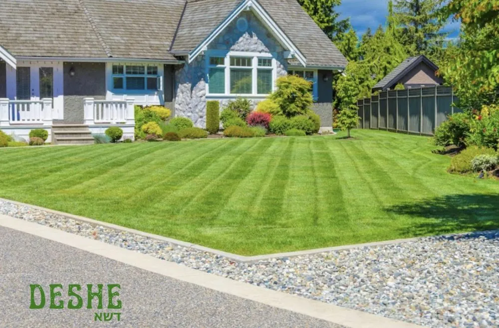 Professional yard cleanup service near you in Pomona, NY by Deshe Lawn Care of Rockland County