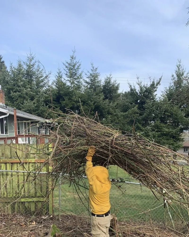 Local yard cleanup service in Pomona, NY - Deshe Lawn Care of Rockland County