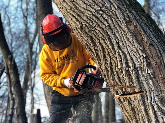 Deshe Lawn Care of Rockland County
