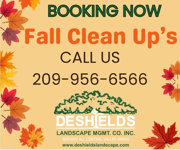 Professional landscape installation for outdoor upgrades in Lodi, CA by DeShields Landscape Management