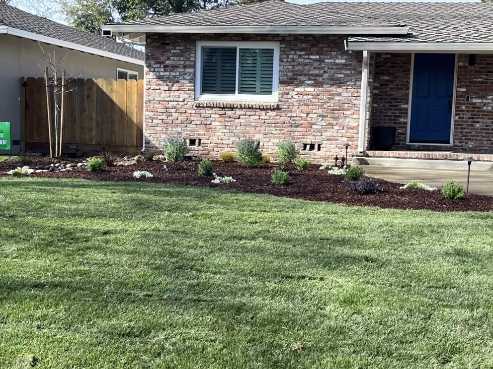 Trusted residential landscaping near you in Lodi, CA by DeShields Landscape Management