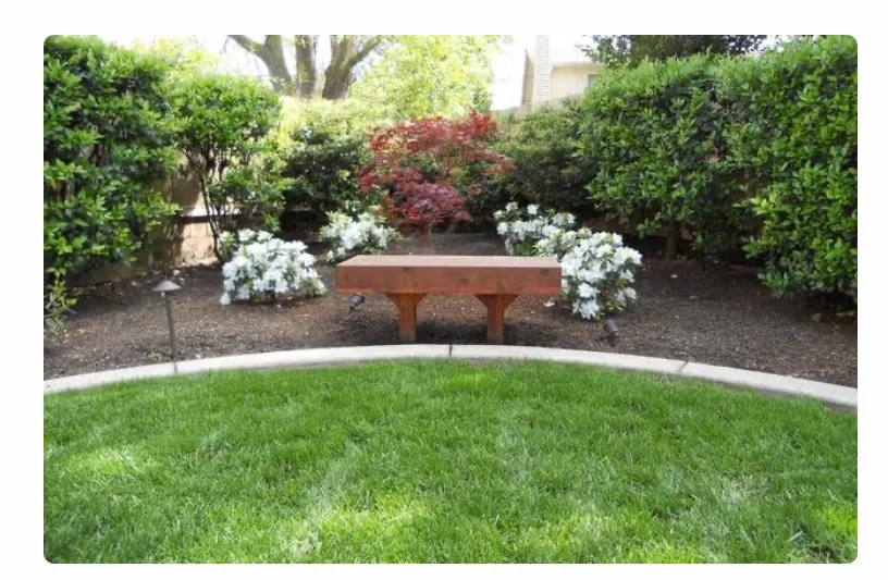 Top-rated yard cleanup service for homes in Lodi, CA by DeShields Landscape Management