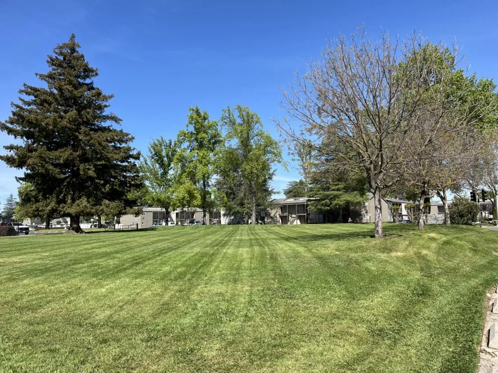 Reliable lawn care service for year-round maintenance in Lodi, CA by DeShields Landscape Management