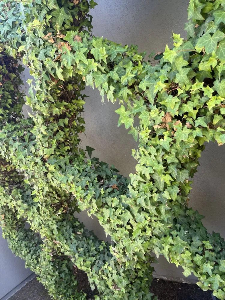 Expert lawn mowing service in Lodi, CA - DeShields Landscape Management