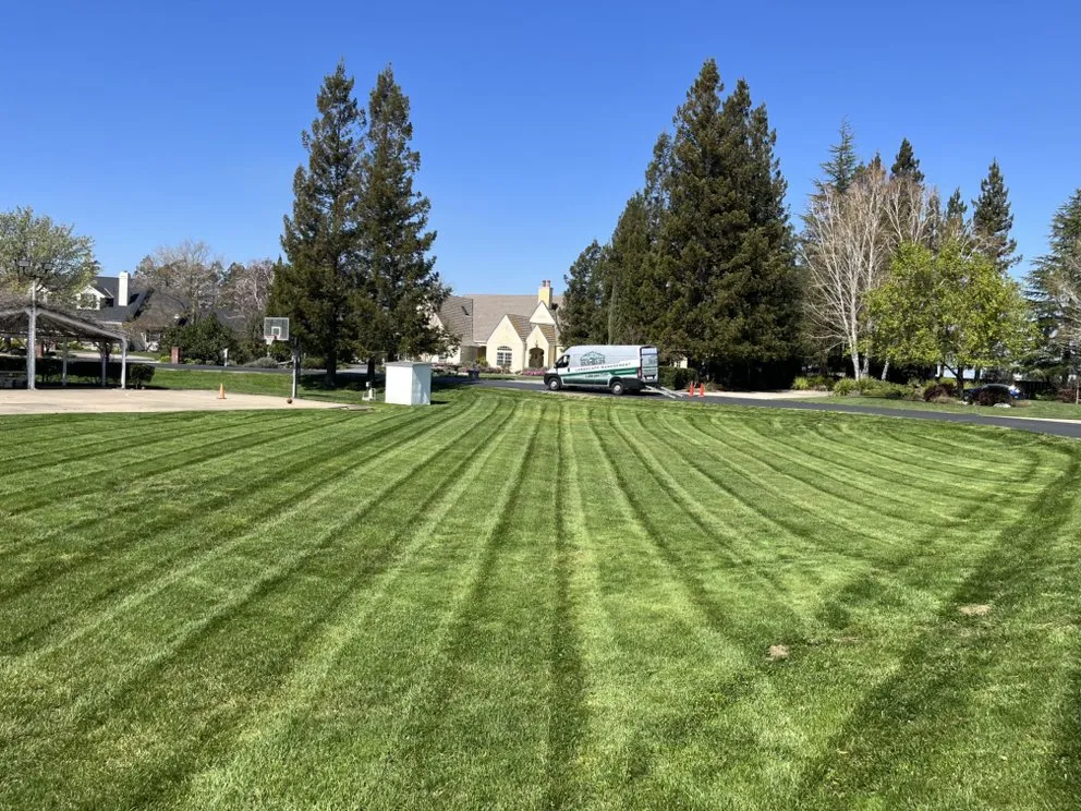 Expert landscape design in Lodi, CA by DeShields Landscape Management