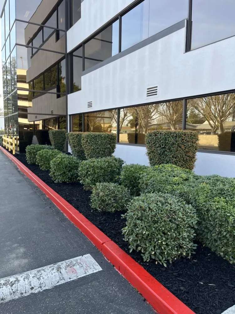 Trusted outdoor landscaping in Lodi, CA - DeShields Landscape Management