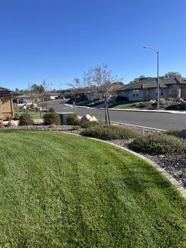 Affordable lawn mowing service in Lodi, CA by DeShields Landscape Management