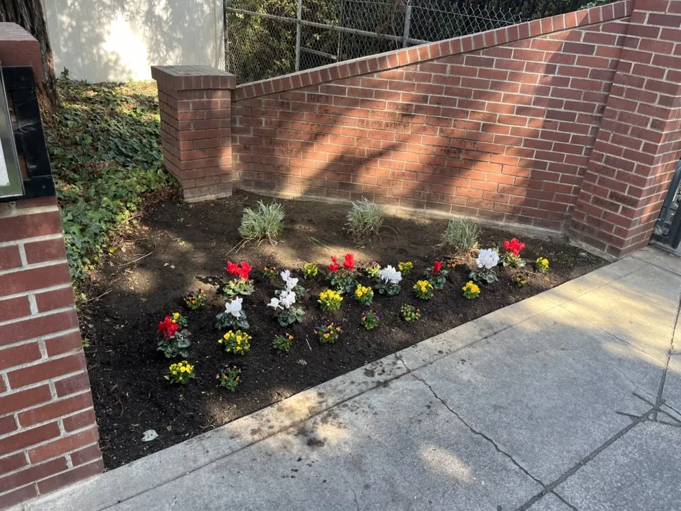 Custom lawn mowing service for year-round maintenance across Lodi, CA - DeShields Landscape Management