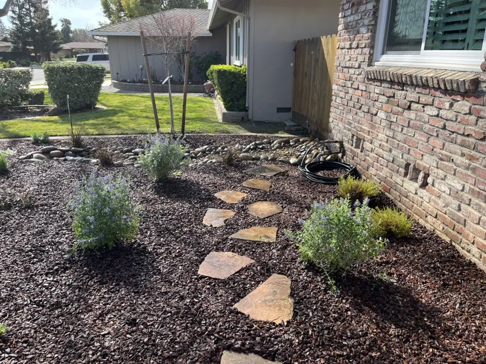 Local residential landscaping in Lodi, CA by DeShields Landscape Management