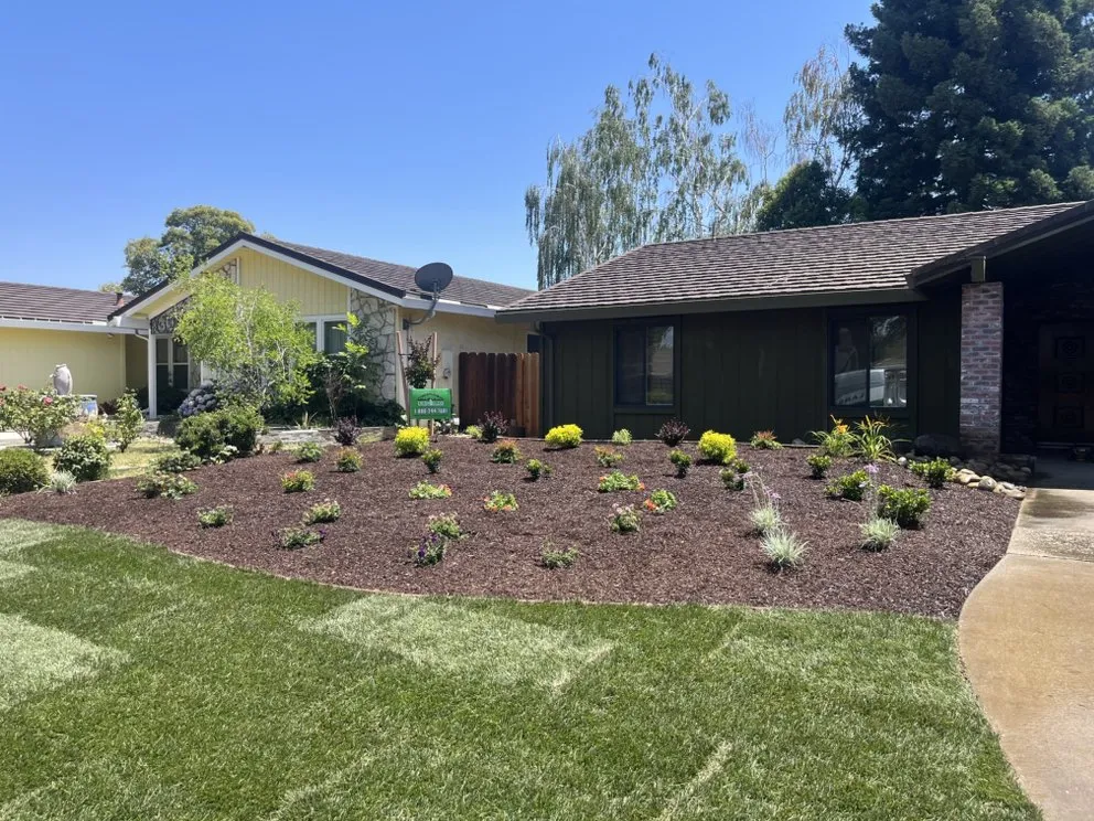 Trusted landscape installation in Lodi, CA by DeShields Landscape Management