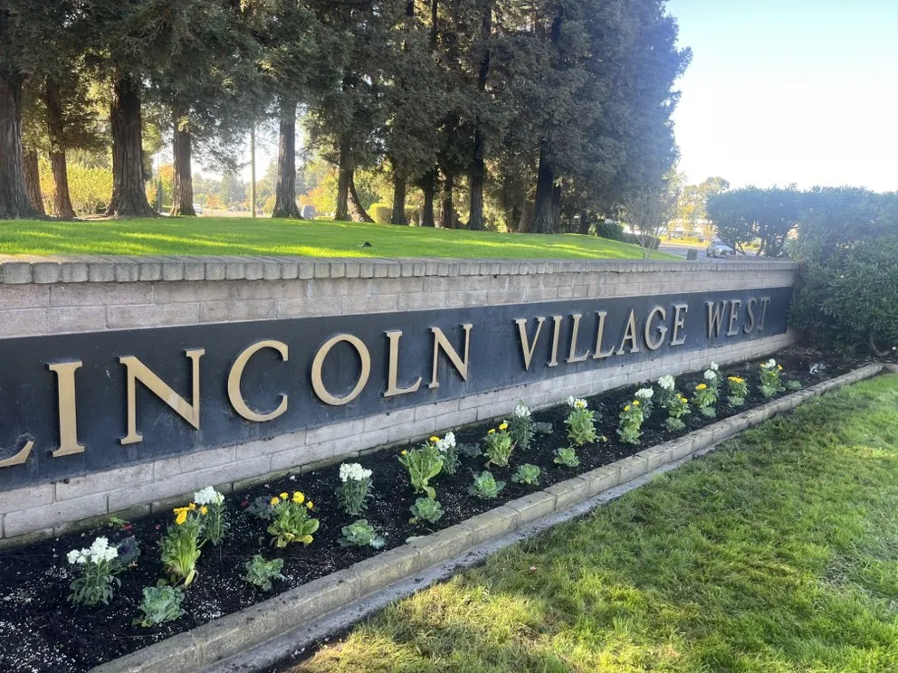 Custom landscape installation for year-round maintenance in Lodi, CA by DeShields Landscape Management