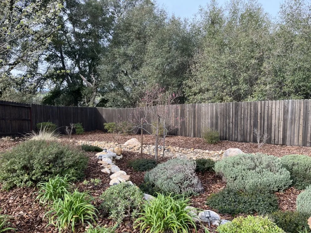 Custom yard cleanup service experts serving Lodi, CA - DeShields Landscape Management